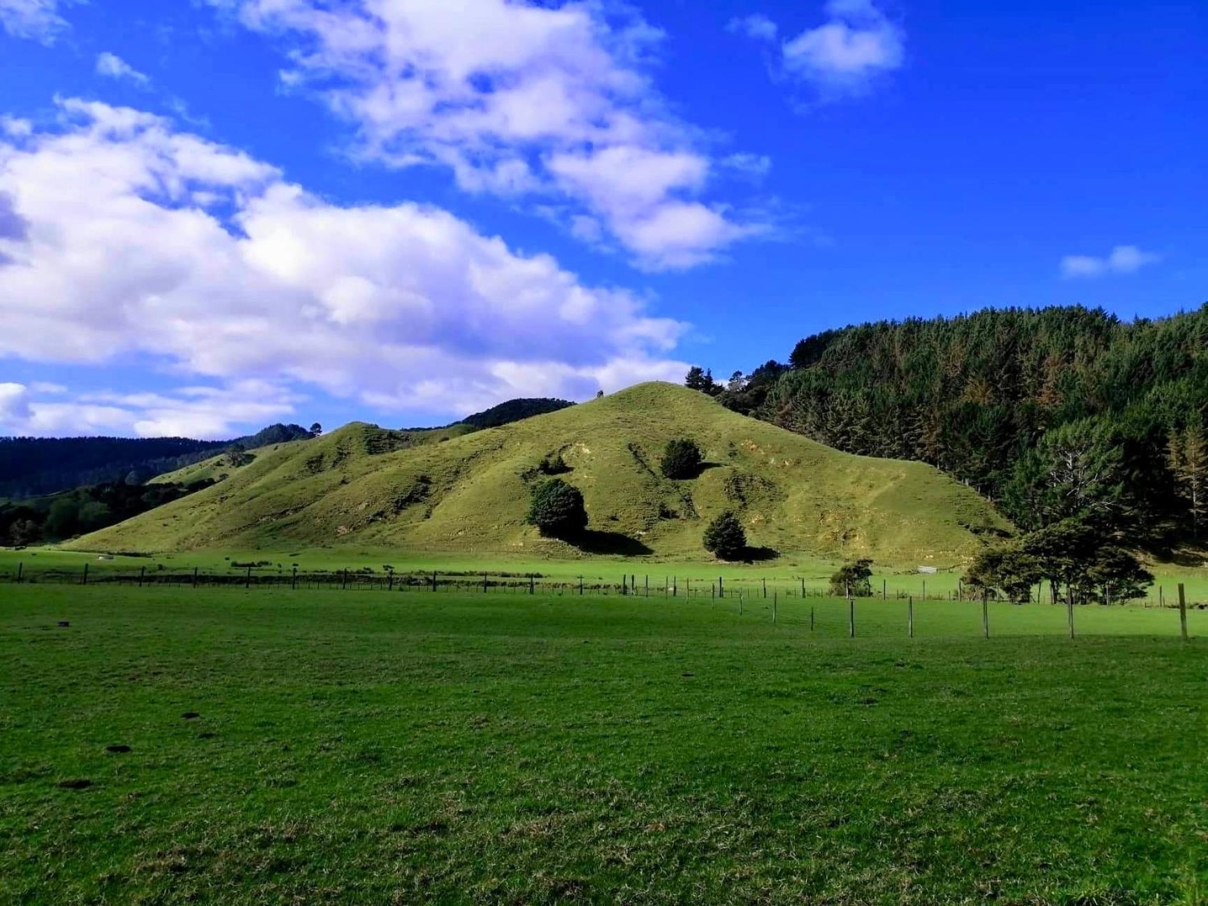 White Star Station Farm Holiday Park Coromandel Ngoại thất bức ảnh
